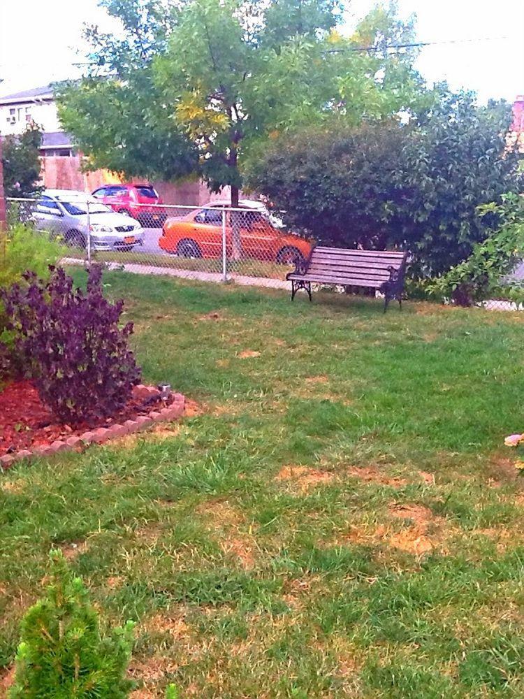 Jfk Bed And Breakfast Guesthouse New York Bagian luar foto