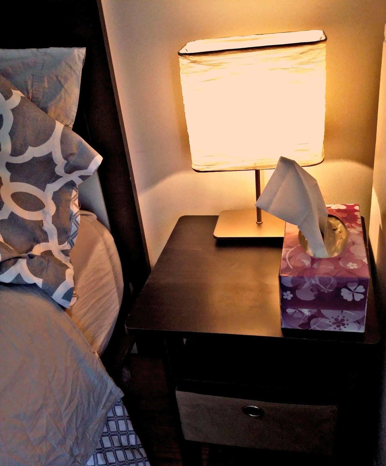 Jfk Bed And Breakfast Guesthouse New York Bagian luar foto